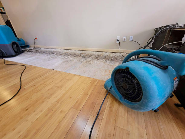 Reliable Basement Flood Cleanup contractor in Eureka, IL by Hirex Water Damage
