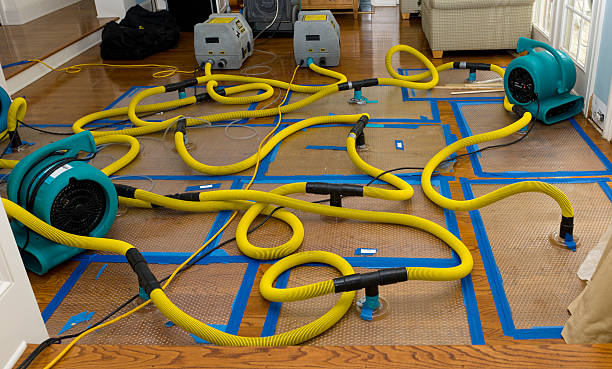Professional Basement Flood Cleanup technician working in Eureka, IL